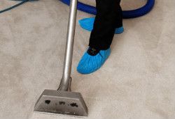 Carpet Cleaning Holloway