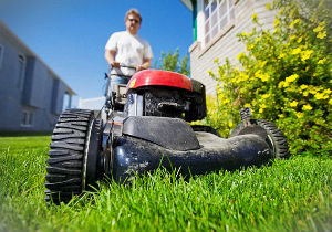 grass-cutting-holloway