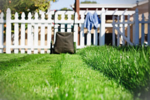 grass-cutting-services-holloway