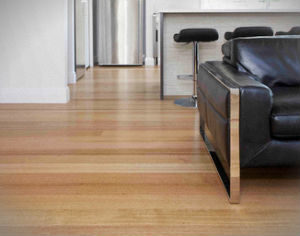 hard-floor-cleaning-polishing-holloway